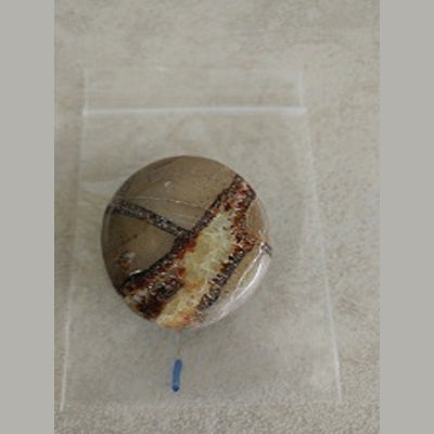 Septarian Gallet/palmstone Madagascar Approx 1 1/3" - Love My Pet Gemstone