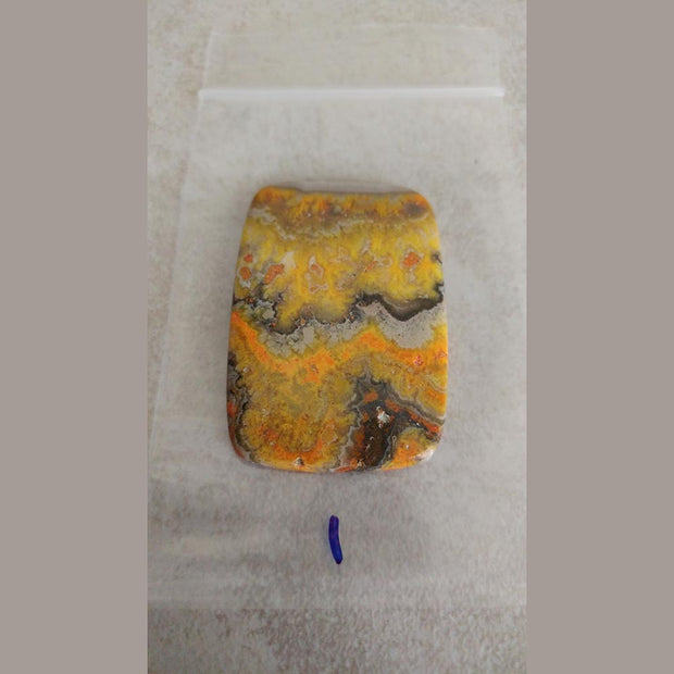 Bumble Bee Jasper can help with abdominal issues, allergies, the nervous system, and heart and circulatory system disorders