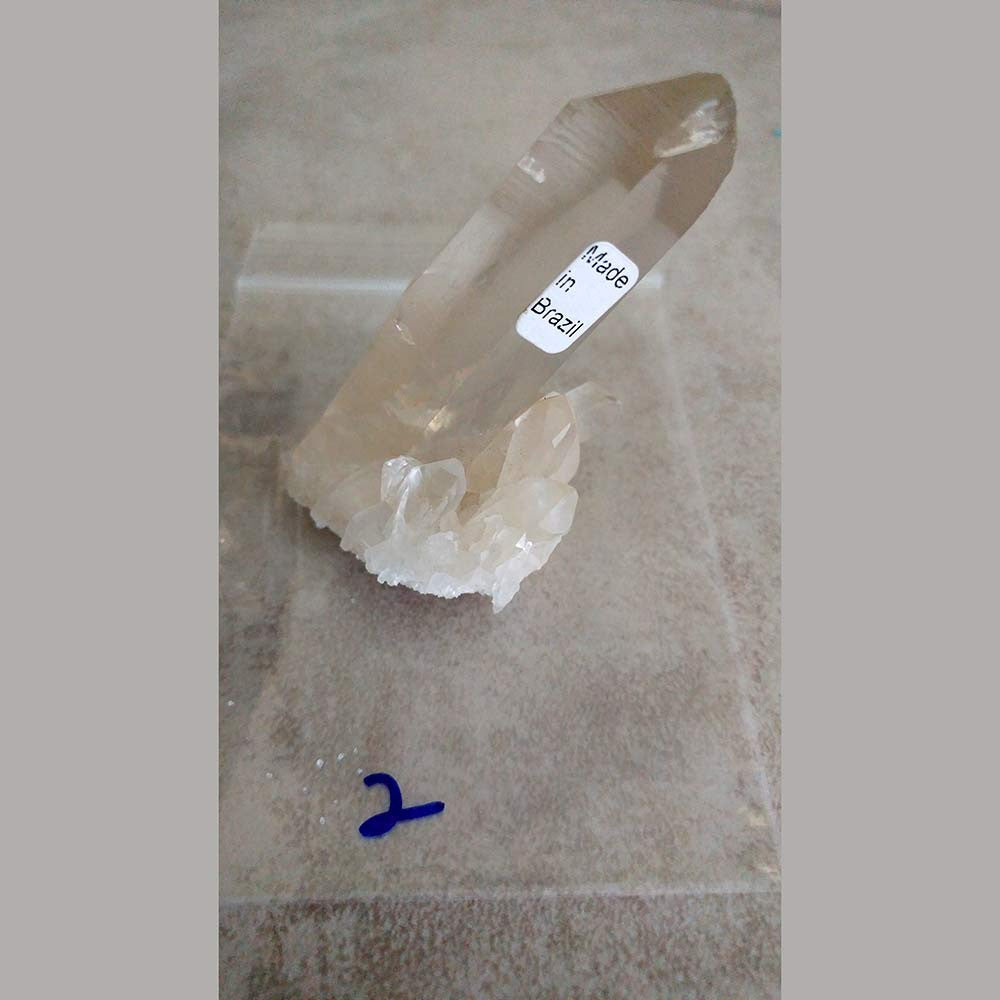 Lemurian Seed Crystals are a special variety of clear of clear Quartz