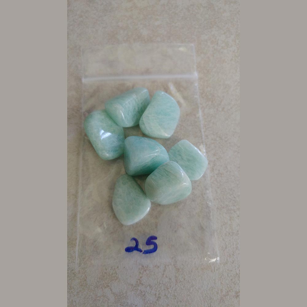 Amazonite Tumbled small/Med. India - Love My Pet Gemstone