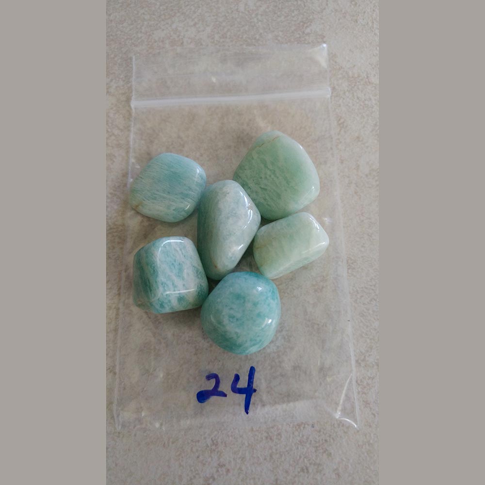 Amazonite Tumbled small/Med. India - Love My Pet Gemstone