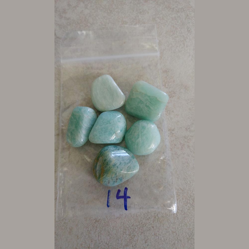 Amazonite Tumbled small/Med. India - Love My Pet Gemstone