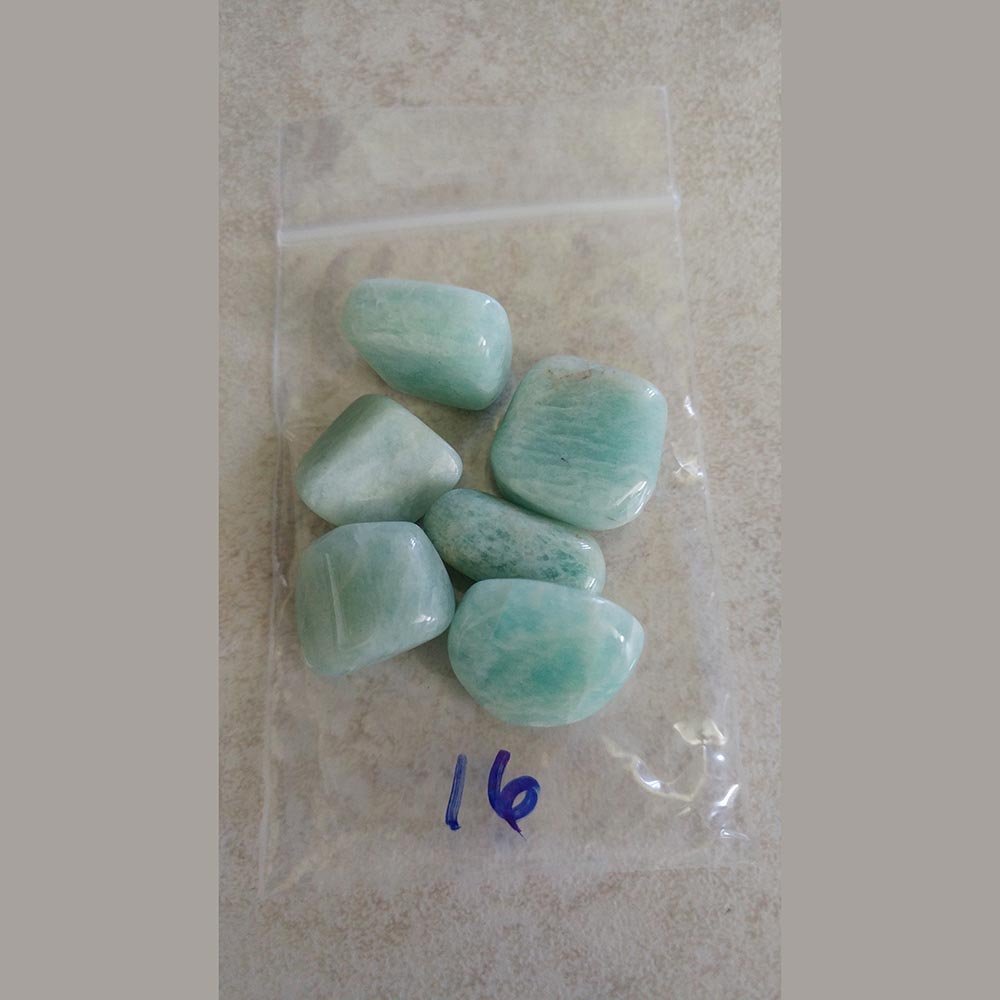 Amazonite Tumbled small/Med. India - Love My Pet Gemstone