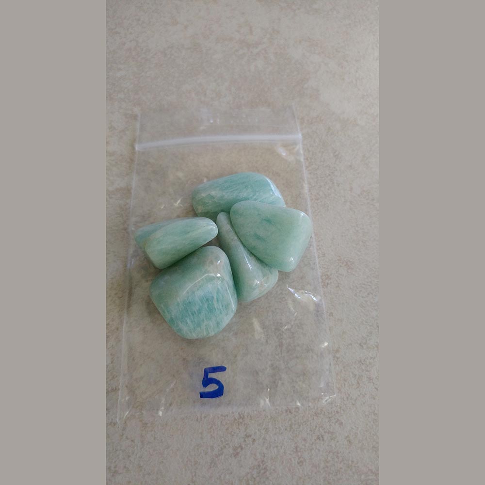 Amazonite Tumbled small/Med. India - Love My Pet Gemstone