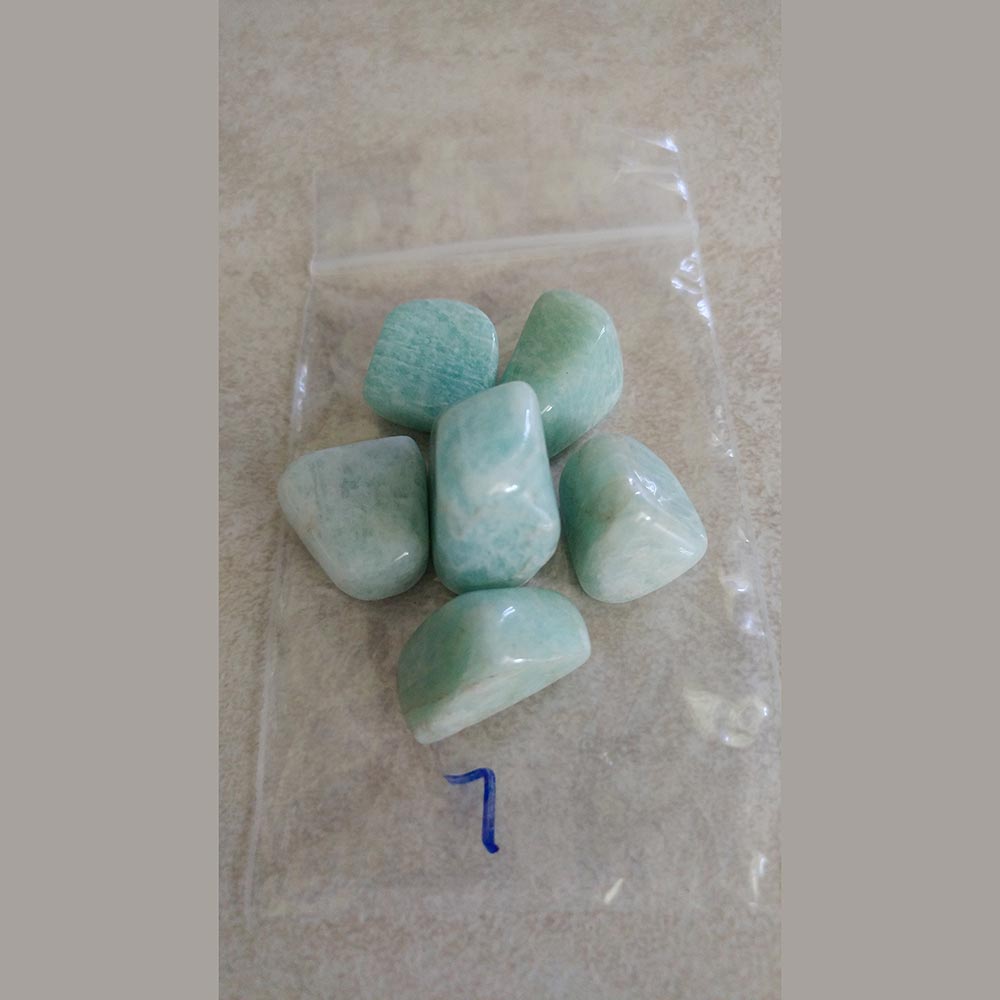 Amazonite Tumbled small/Med. India - Love My Pet Gemstone